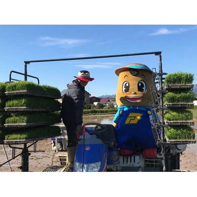 ふるさと納税 厚沢部町 【令和7年産】北海道厚沢部産ふっくりんこ15kg(5kg×3袋)