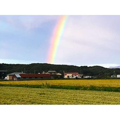 ふるさと納税 厚沢部町 【令和7年産】北海道厚沢部産ふっくりんこ15kg(5kg×3袋)