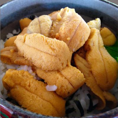 ふるさと納税 八雲町 鮮度抜群!「門脇のウニ」 北海道産塩水生ウニ600g(100g×6パック)の画像