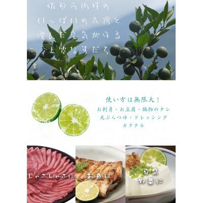 ふるさと納税 佐那河内村 ハウス栽培すだち　1kg　※6月中旬頃から発送_1