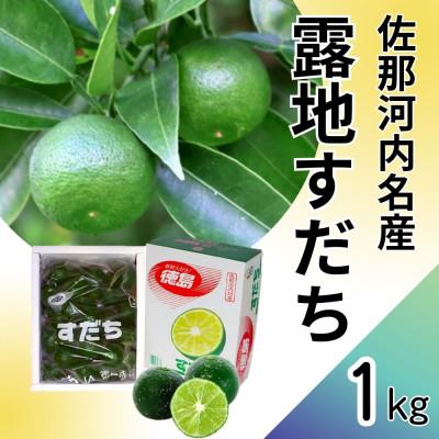 ふるさと納税 佐那河内村 露地栽培すだち 1kg ※8月下旬頃から発送