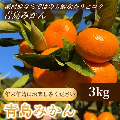 ふるさと納税 湯河原町 年末年始にお楽しみください!! 早出し☆青島みかん 3kg