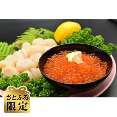 ふるさと納税 北見市 [さとふる限定]2代目漁師の特製いくら醤油漬け80g×2瓶と無添加刺身帆立200gセット
