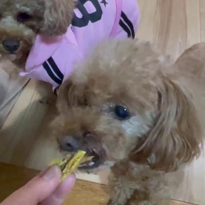 ふるさと納税 茨城県 茨城県産ほしいもの未利用部分を使用した犬の無添加おやつ(トッピングタイプ30g×8袋)