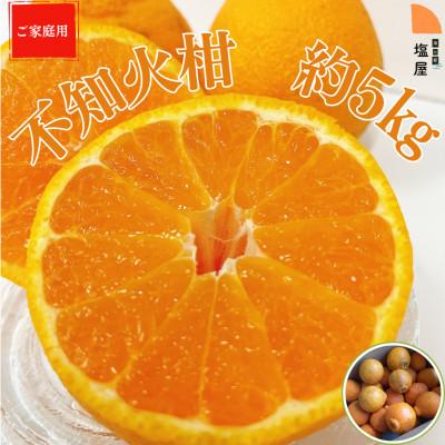 ふるさと納税 熊本市 不知火(しらぬい)柑 約5kg(ご家庭用)