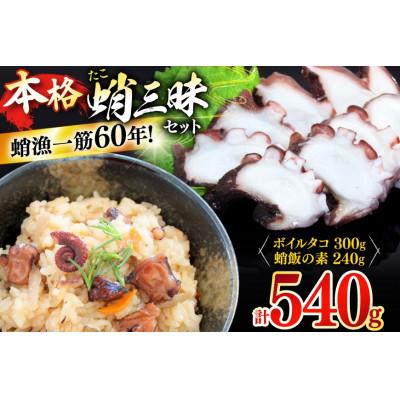 ふるさと納税 平戸市 たこめしの素・ボイルタコ 漁師飯セット(タコ飯の素 2P / ボイルタコ 300g)