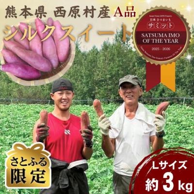 ふるさと納税 西原村 [さとふる限定]数量限定!熊本県西原村産 小城さん家のシルクスイートA品(L)約3kg