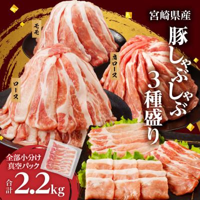 ふるさと納税 都農町 全部小分け真空パック!!宮崎県産 豚しゃぶしゃぶ 3種盛りセット合計2.2kg[T041-0025]