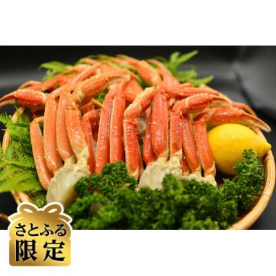 ふるさと納税 北見市 [さとふる限定]2代目漁師の厳選した活〆茹でズワイ蟹脚約1kg