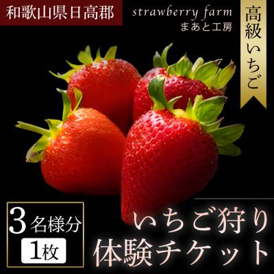 ふるさと納税 みなべ町 [まあと工房でしか味わえない]いちごの食べ比べ いちご狩り体験チケット ( 3名様分) 1枚