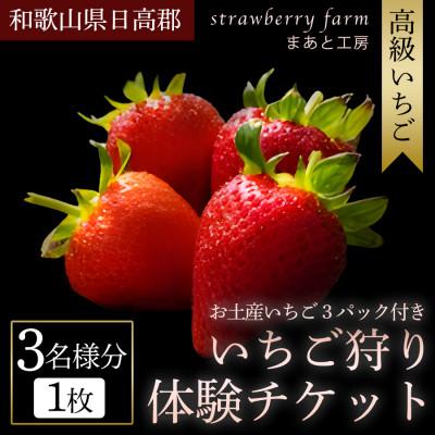 ふるさと納税 みなべ町 [まあと工房でしか味わえない]いちご狩り体験チケット ( 3名様分) +お土産いちご3パック付き