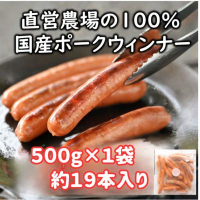 ふるさと納税 浜松市 ポークウインナー500g×1袋