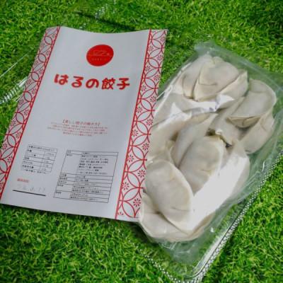 ふるさと納税 浜松市 はるの餃子20個入り1パック 国産豚使用冷凍浜松餃子