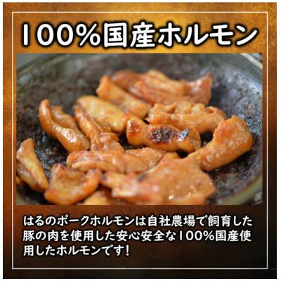 ふるさと納税 浜松市 ミックスホルモン200g×1袋 味噌味 国産豚内臓 冷凍