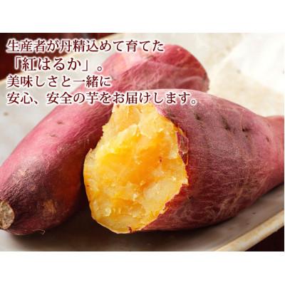 ふるさと納税 合志市 訳あり紅はるか 約10kg(合志市)の画像