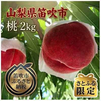 ふるさと納税 笛吹市 [さとふる限定]絶品!!「笛吹 春日居地区の桃」2kg(5〜6玉)