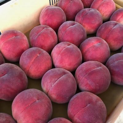 ふるさと納税 笛吹市 【さとふる限定】絶品!!「笛吹 春日居地区の桃」2kg(5〜6玉)の画像