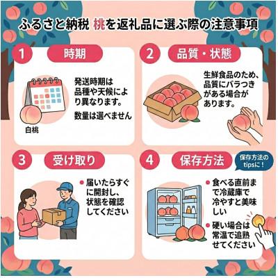 ふるさと納税 笛吹市 【さとふる限定】絶品!!「笛吹 春日居地区の桃」2kg(5〜6玉)の画像