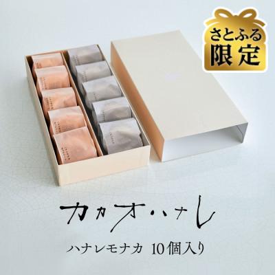 ふるさと納税 茅ヶ崎市 [さとふる限定]カカオハナレ ハナレモナカ チョコ&amp;アールグレイ 10個セット(各5個入り) 冷凍