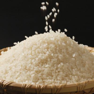 ふるさと納税 見附市 新潟県産 無洗米 10kg 極み 食べ比べセット( コシヒカリ × こしいぶき ) 各 5kg_2