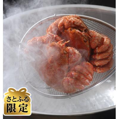 ふるさと納税 北見市 [さとふる限定]さとふる限定・2代目漁師の厳選した大きなサイズの活〆茹で毛蟹2尾で約1.5kgセット