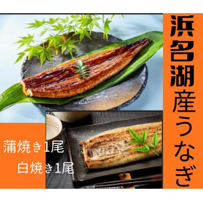 ふるさと納税 浜松市 浜名湖産うなぎ 長蒲焼き1尾 白焼き1尾 一度で二つの味を堪能! タレ・山椒付き