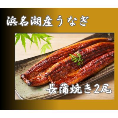 ふるさと納税 浜松市 浜名湖産うなぎ 長蒲焼き2尾 香りと黄金色が映える一品! 個包装パック タレ・山椒付き