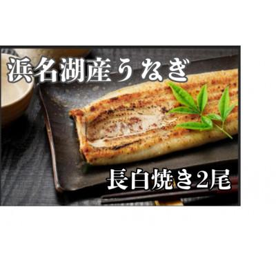 ふるさと納税 浜松市 浜名湖産うなぎ 白焼き2尾 食べ応えの堂々たる一尾をお好みの味で! 個包装パック 蒲焼きタレ、山椒付