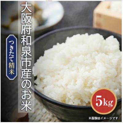 ふるさと納税 和泉市 大阪府和泉市の農家さんが心を込めて作ったお米 1袋5kg [単一品種]