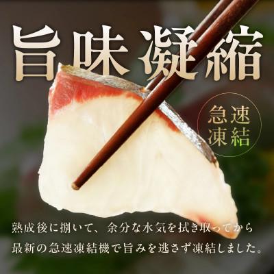 ふるさと納税 延岡市 熟成金寿カンパチ 刺身用ブロック 約600g(急速凍結)_1