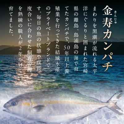 ふるさと納税 延岡市 熟成金寿カンパチ 刺身用ブロック 約600g(急速凍結)_3
