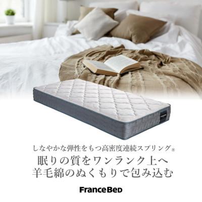 ふるさと納税 昭島市 フランスベッドセットセミダブル N-2000 フレーム脚付きタイプカラー選択