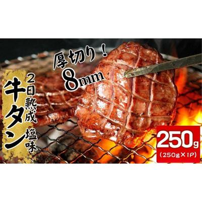 ふるさと納税 東松島市 熟成厚切り牛タン 250g 塩味