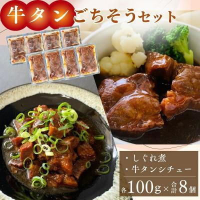 ふるさと納税 東松島市 牛タンしぐれ煮・牛タンシチュー 100g×各4個 合計8個