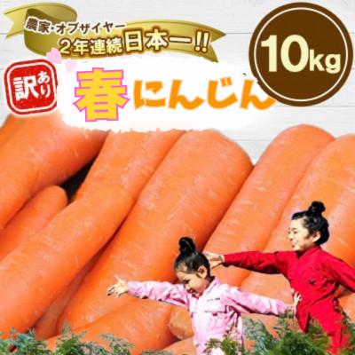 ふるさと納税 菊陽町 熊本県産 春にんじん(訳あり)10kg まゆみ農園