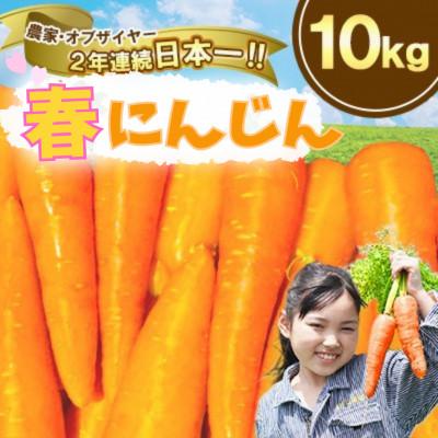 ふるさと納税 菊陽町 熊本県産 春にんじん(秀品)10kg まゆみ農園