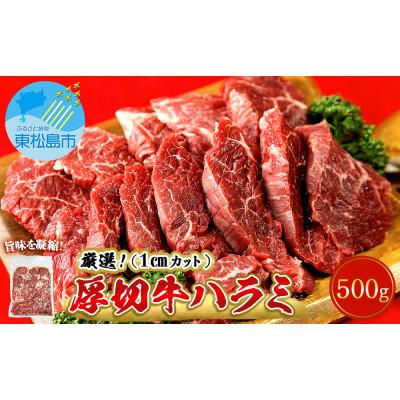 ふるさと納税 東松島市 厳選 牛ハラミ 厚切り 500g