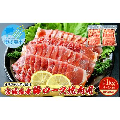 ふるさと納税 東松島市 豚肉 宮城県産 タレ漬 豚ロース 1kg (500g×2パック 6〜7人前)