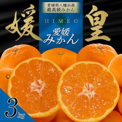 ふるさと納税 八幡浜市 [先行受付]最高級ブランド 媛皇 愛媛みかん 3kg 西宇和地区八幡浜市産[E25-400]
