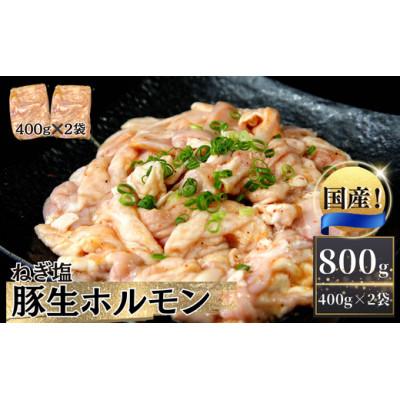 ふるさと納税 東松島市 国産 豚 生ホルモン ねぎ塩味 800g(400g×2パック)