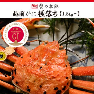 ふるさと納税 越前町 福井県のブランド蟹「極」に準ずる[越前がに 極落ち1.5kg〜]11月発送