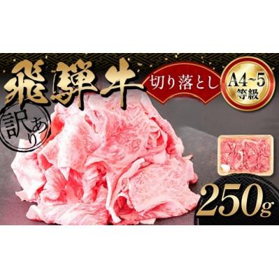 ふるさと納税 坂祝町 [訳あり]A4等級以上 飛騨牛 切り落とし 250g