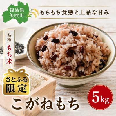ふるさと納税 矢吹町 [さとふる限定][国産こがねもち]精米 もち米 5kg 赤飯・おこわ・お餅用 福島県 矢吹町