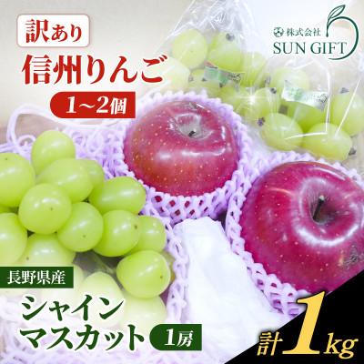 ふるさと納税 塩尻市 長野県産★訳ありシャインマスカットと訳あり信州りんごのセット 計1kg