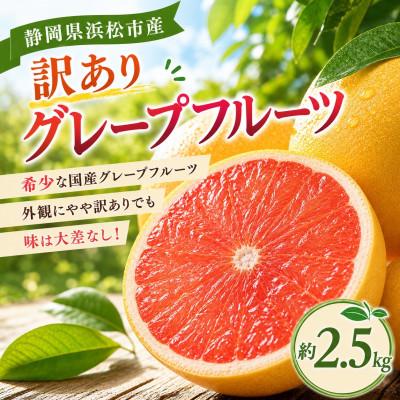 ふるさと納税 浜松市 [訳あり]国産グレープフルーツ2.5kg(静岡県浜松市産)