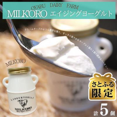 ふるさと納税 合志市 [さとふる限定][ご家族・ご自身へのご褒美に!]ミルコロエイジングヨーグルト×5本(各200g)