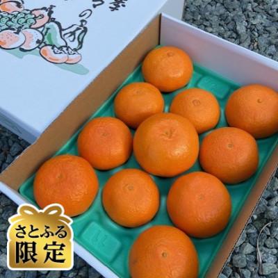 ふるさと納税 伊予市 [さとふる限定]愛媛みかん[高級柑橘][数量限定][贈答用]あいか3kg
