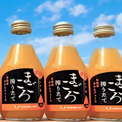 ふるさと納税 広川町 [まごころ搾りたて]有田みかん100%ジュース 180ml 3本 化粧箱