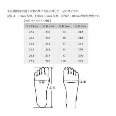ふるさと納税 加古川市 DECO Plane Toe フレッシュブラック 24.5cmの画像