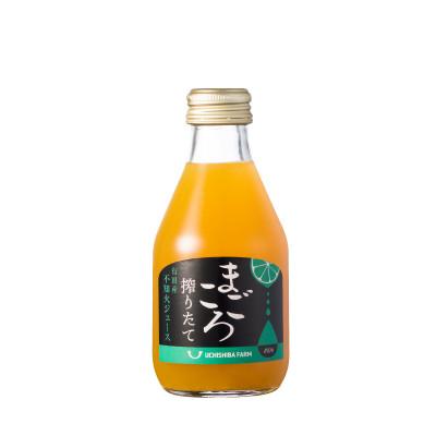 ふるさと納税 広川町 [まごころ搾りたて]不知火 100%ジュース 180ml 10本